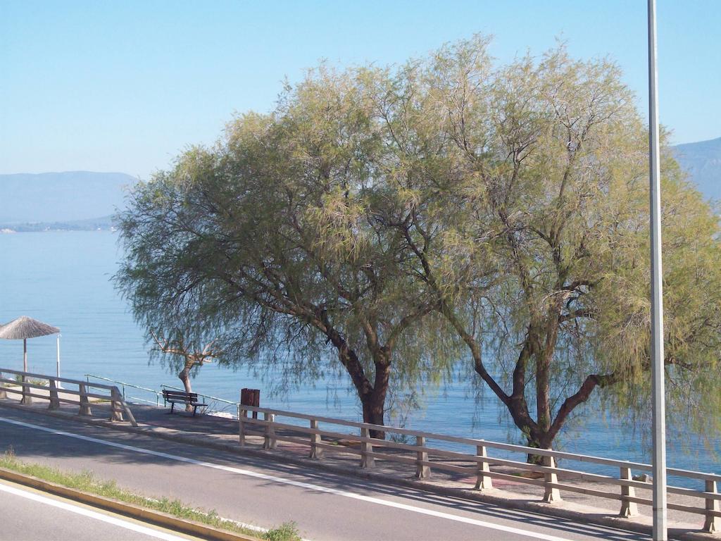 Olga Ξενοδοχείο Agios Konstantinos  Εξωτερικό φωτογραφία